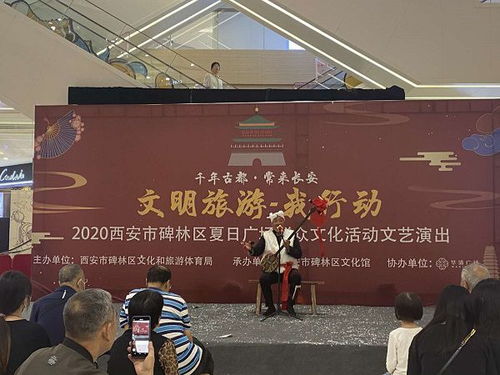 2020年西安市碑林区系列群众文化活动与文化艺术交流策划