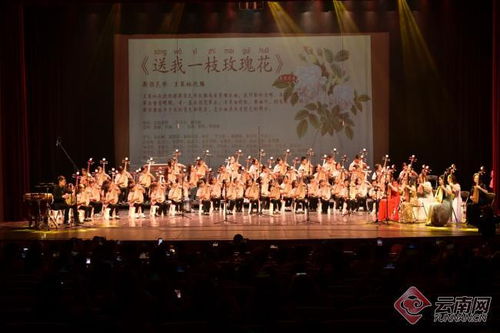 「彩云花韵」首届琵琶文化艺术周圆满落幕 弦音绕梁，经典永续